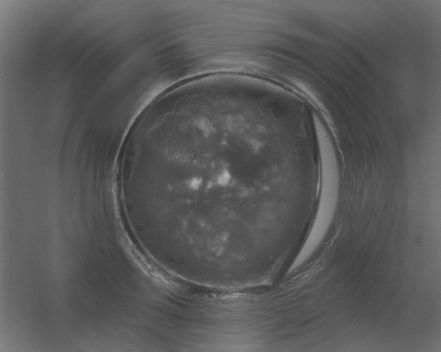 X0000056330899200509021626