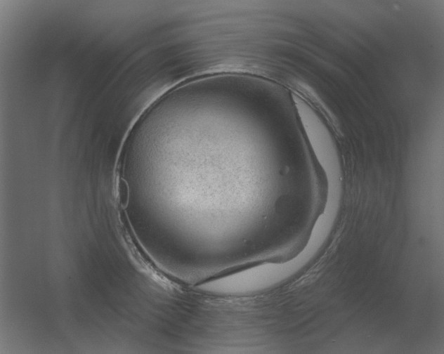 X0000056330900200509021626