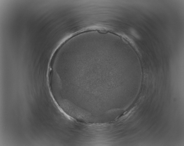 X0000056330902200509021626