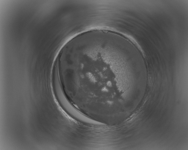 X0000056330903200509021626