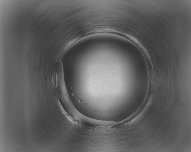 X0000056330905200509021626