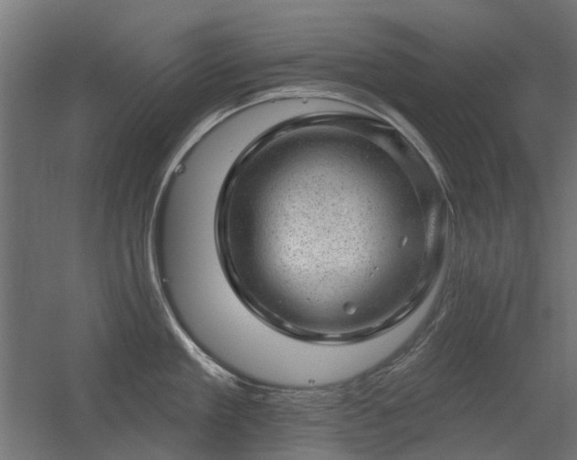 X0000056330909200509021626