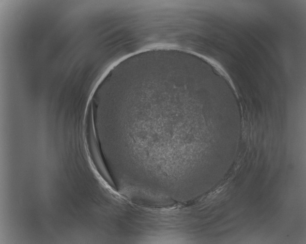 X0000056330911200509021626