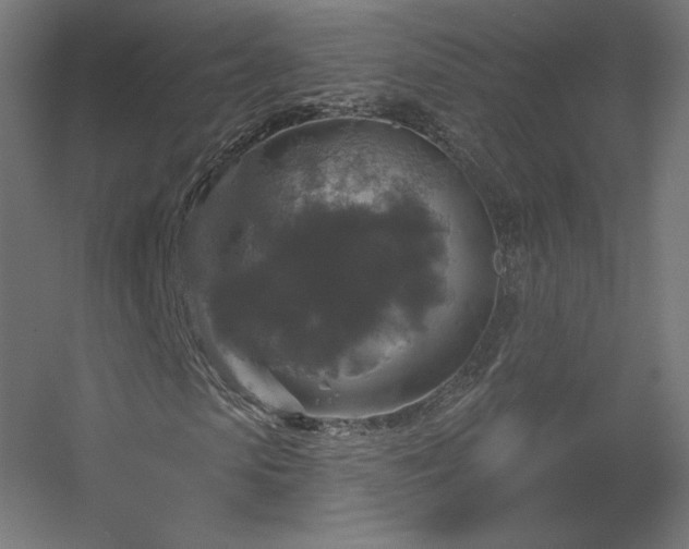 X0000056330913200509021625