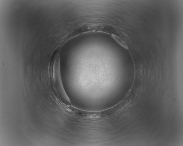 X0000056330914200509021625