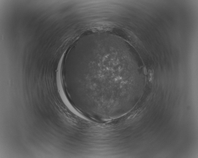 X0000056330915200509021625