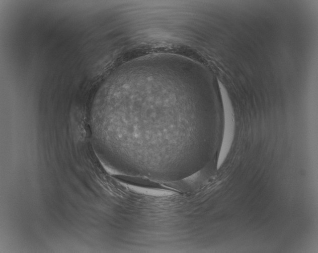 X0000056330916200509021625