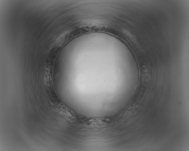 X0000056330918200509021625