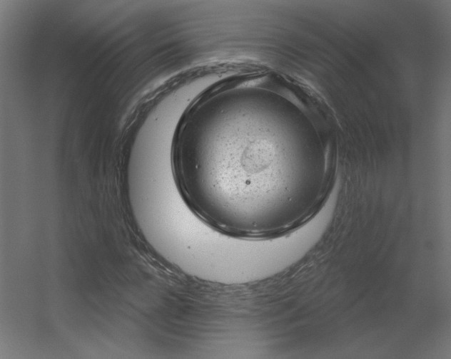 X0000056330920200509021625