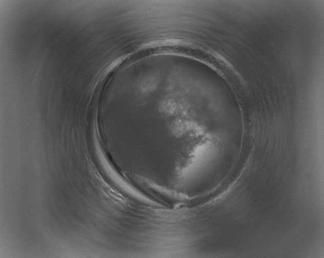 X0000056330921200509021625