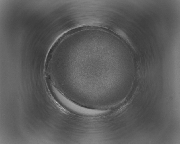 X0000056330924200509021625