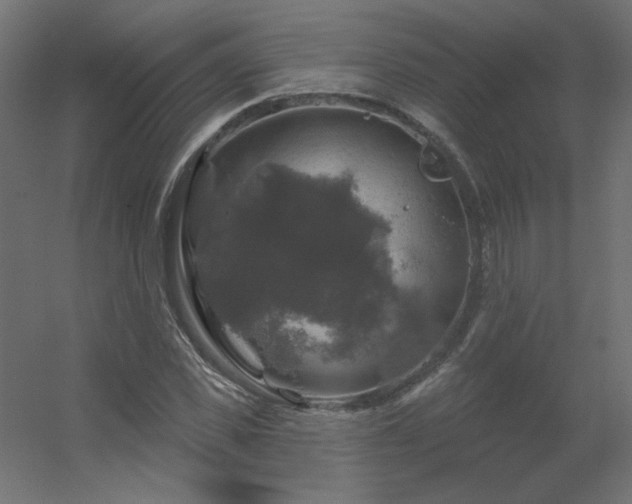 X0000056330925200509021625