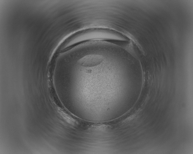 X0000056330926200509021625