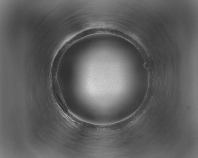 X0000056330927200509021625