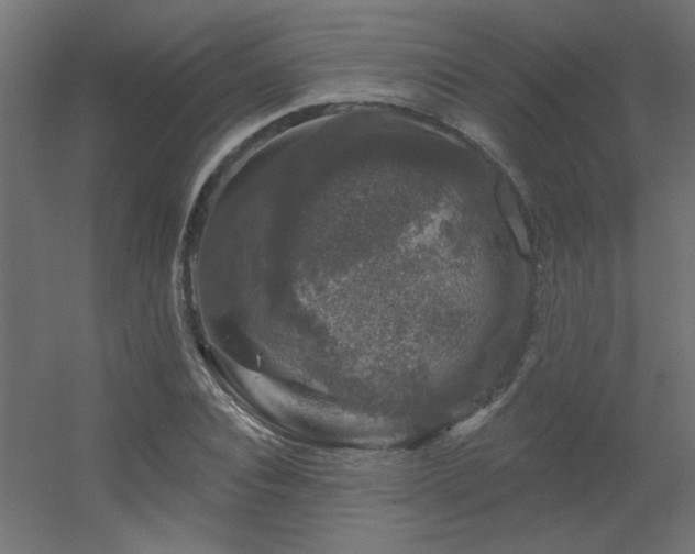 X0000056330928200509021625