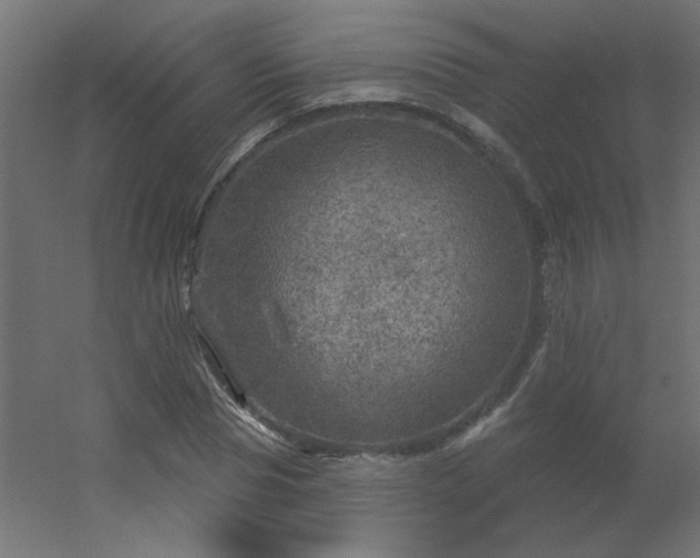 X0000056330929200509021625