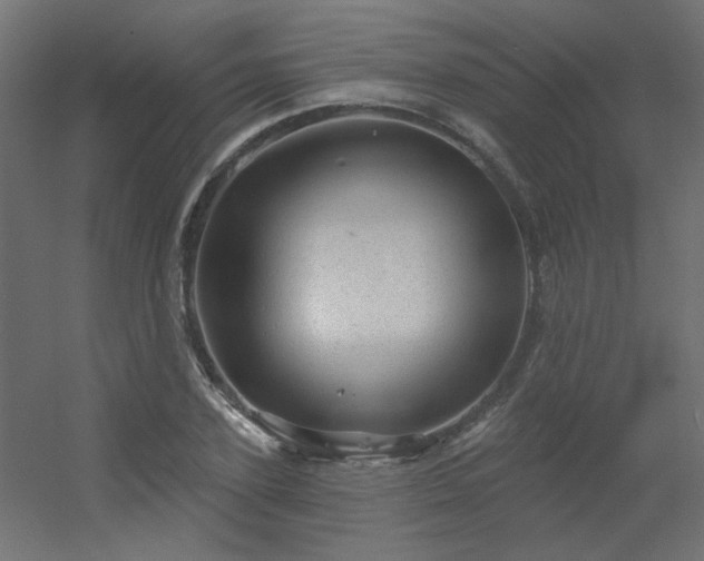 X0000056330931200509021625