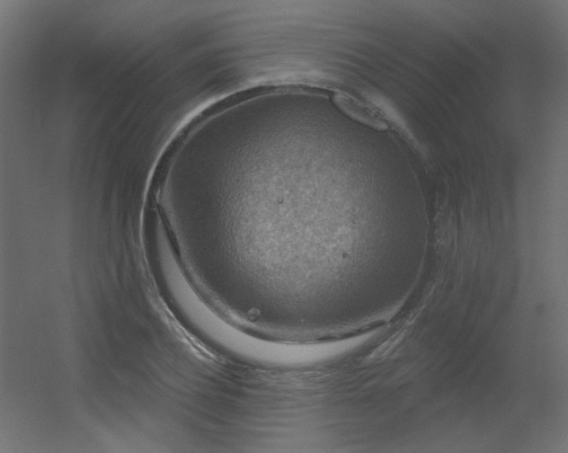 X0000056330932200509021625