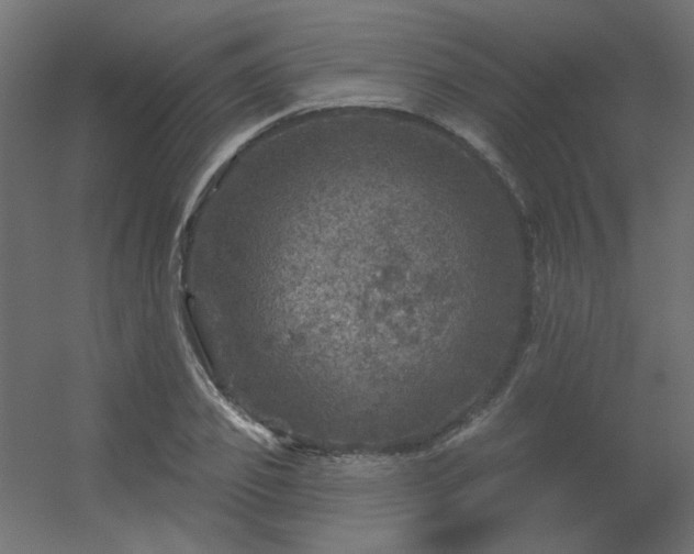 X0000056330933200509021625