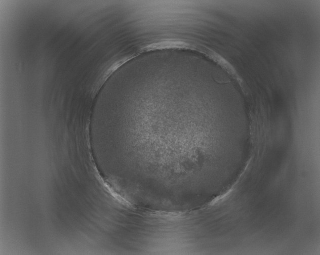 X0000056330937200509021625