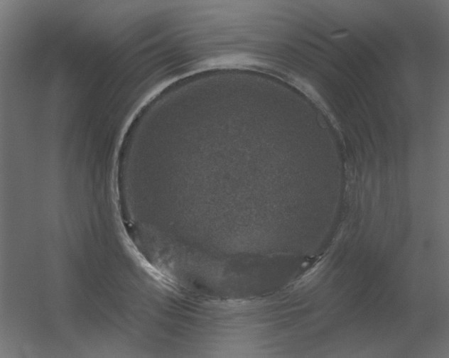 X0000056330939200509021626