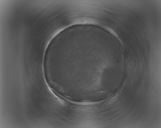 X0000056330943200509021626