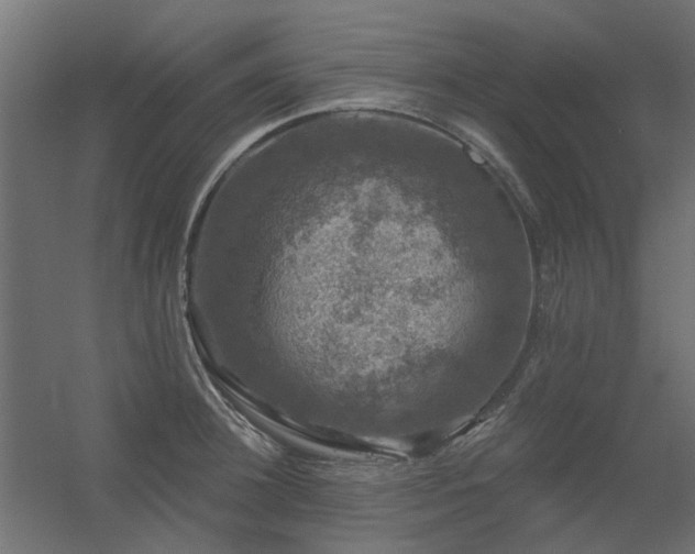 X0000056330948200509021626