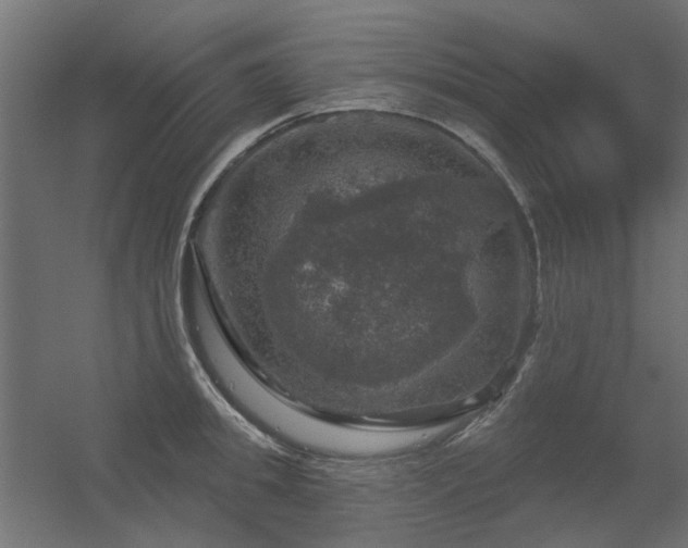 X0000056330949200509021626