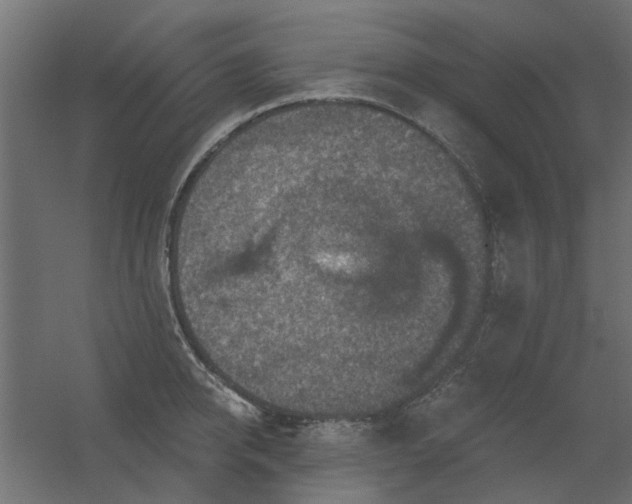 X0000056330950200509021626