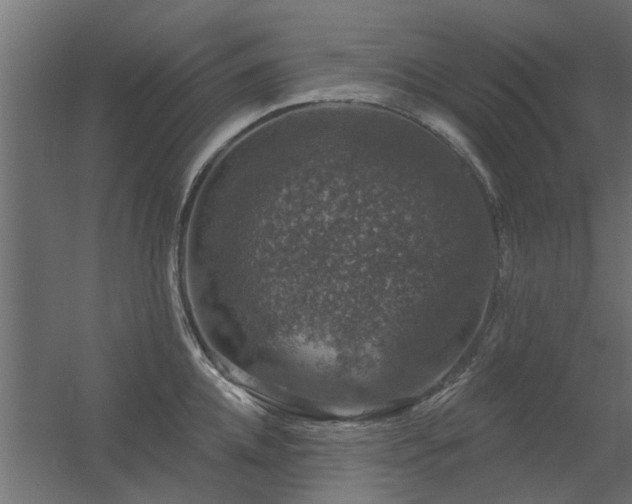 X0000056330952200509021626