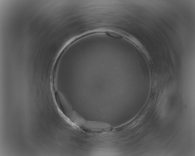 X0000056330958200509021626