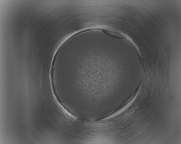 X0000056330959200509021626