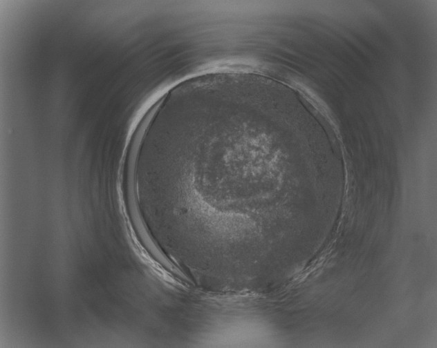 X0000056330960200509021626