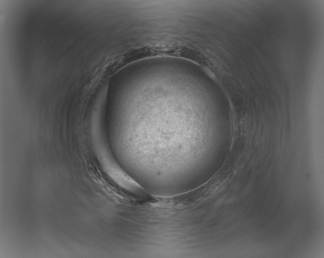 X0000056330961200509021625