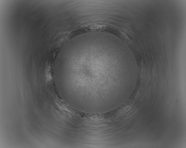 X0000056330962200509021625