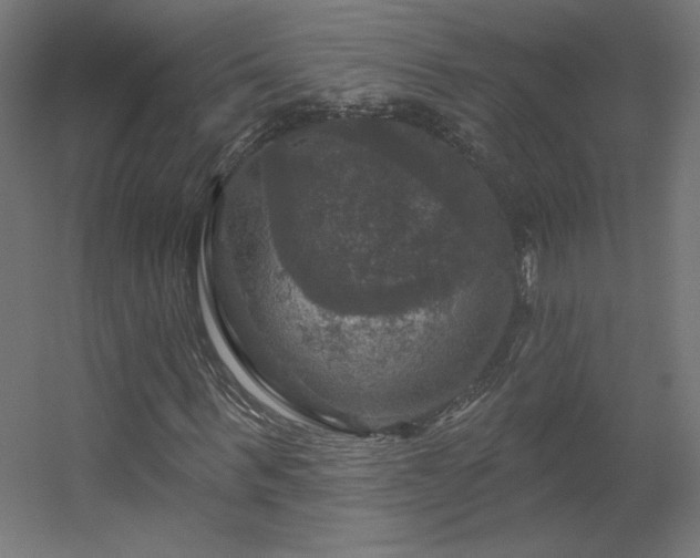 X0000056330963200509021625