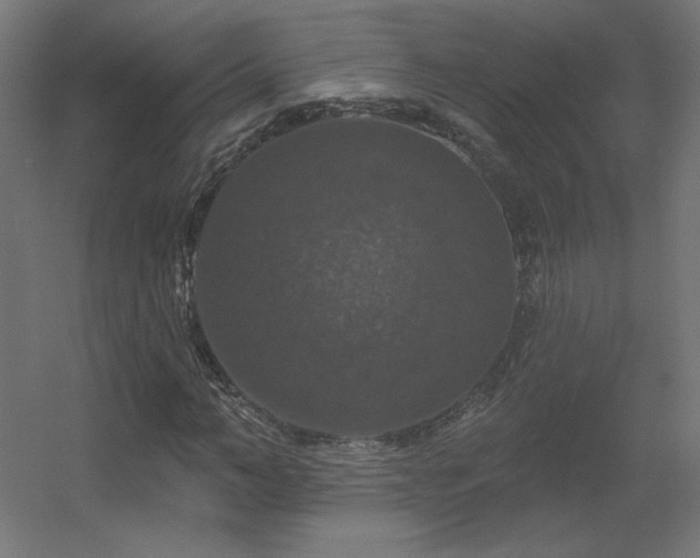 X0000056330966200509021625