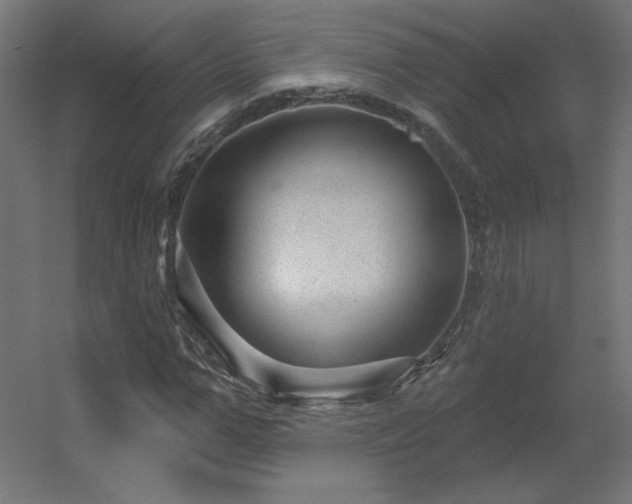 X0000056330967200509021625