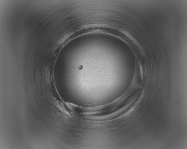 X0000056330969200509021625