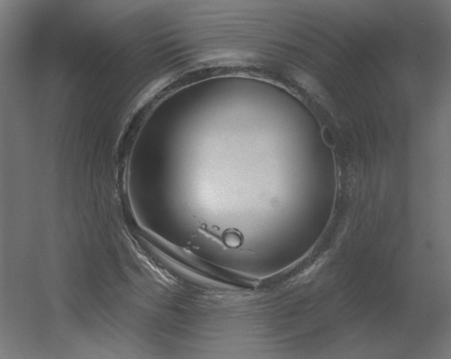 X0000056330970200509021625