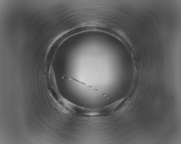 X0000056330971200509021625