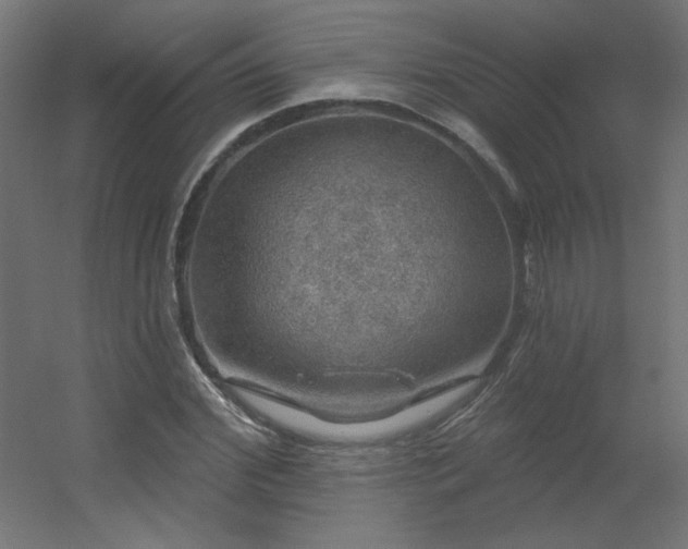 X0000056330972200509021625