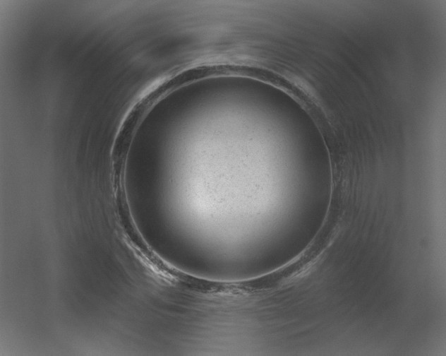 X0000056330974200509021625