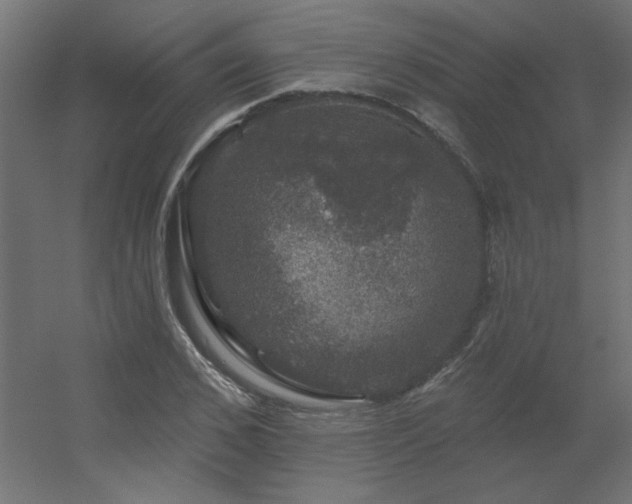 X0000056330976200509021625