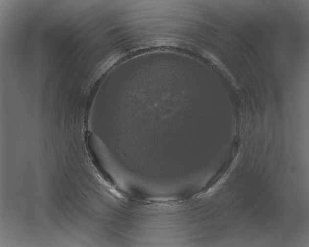 X0000056330977200509021625