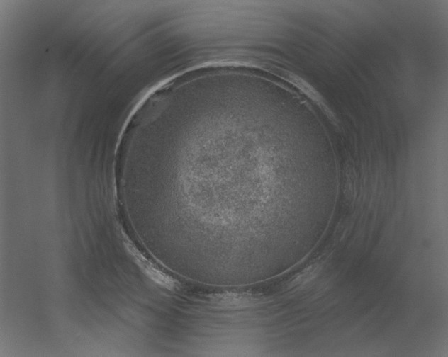 X0000056330980200509021625