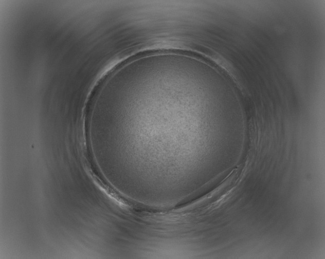 X0000056330982200509021625