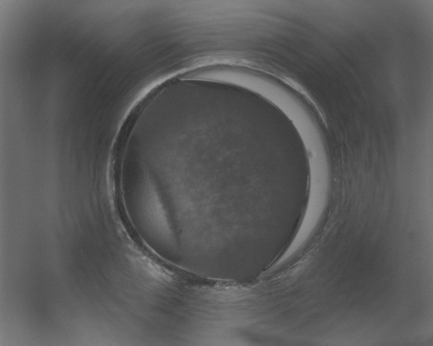 X0000056330983200509021625