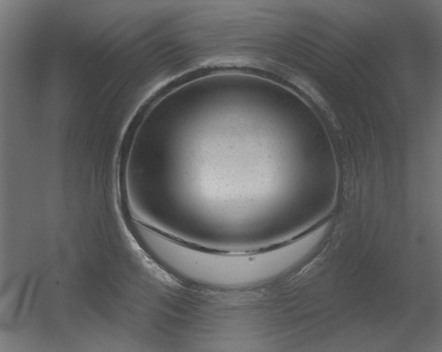 X0000056330984200509021625