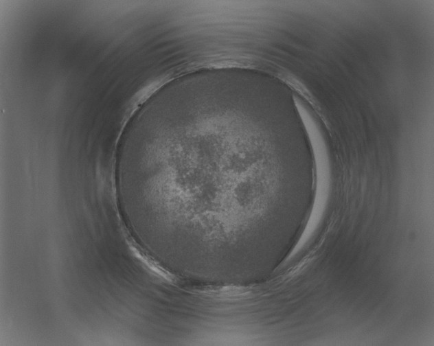 X0000056330986200509021625